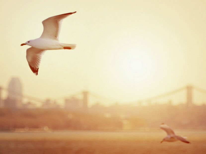  - Frumusetile De Langa Noi