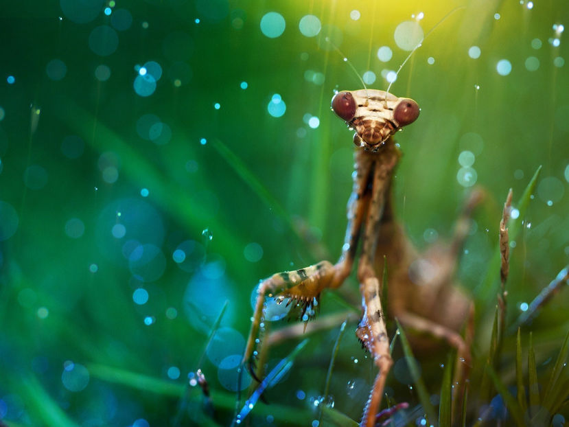  - Frumusetile De Langa Noi