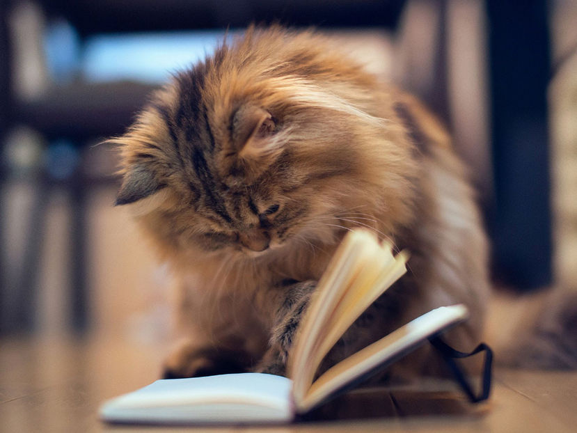  - Frumusetile De Langa Noi