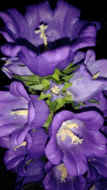  - Aaa achizitii 2017