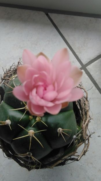  - Aaa achizitii 2017