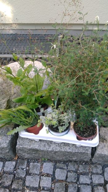  - Aaa achizitii 2017