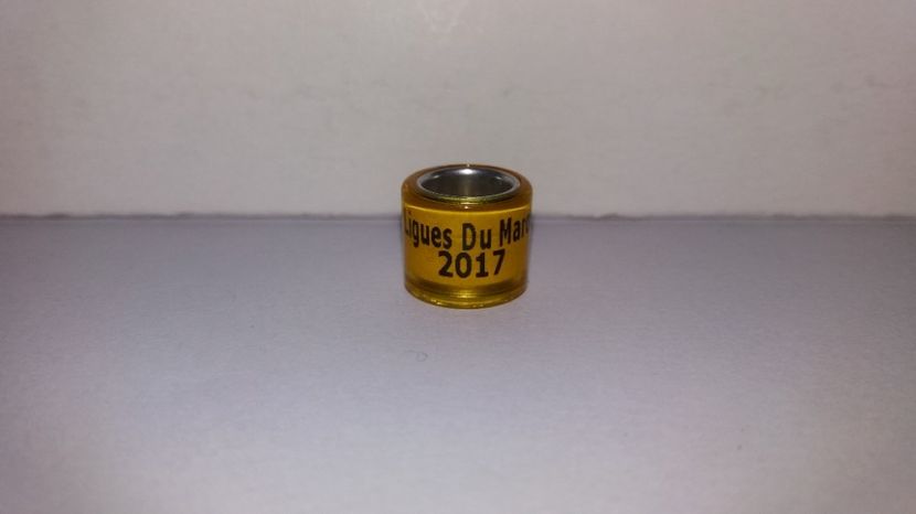  - Inele Maroc - 19 piese