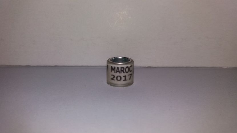  - Inele Maroc - 19 piese