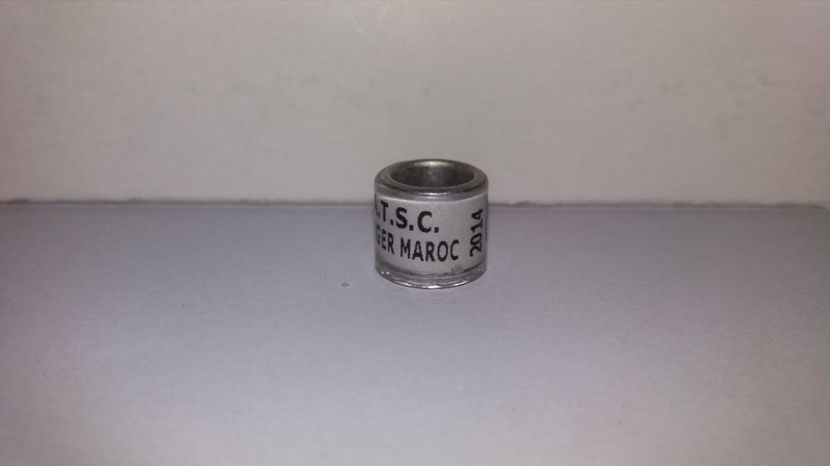  - Inele Maroc - 19 piese