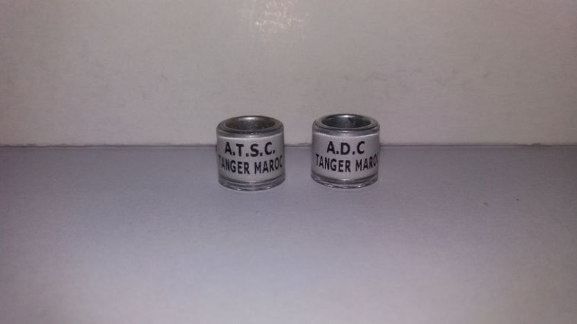  - Inele Maroc - 19 piese