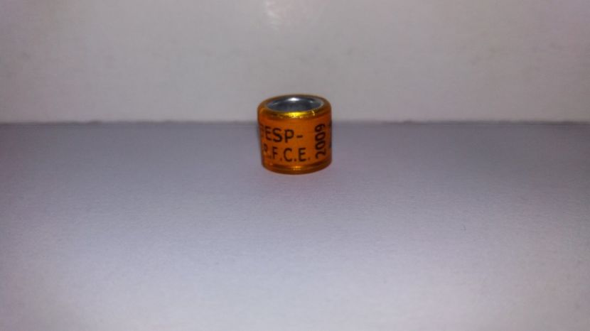  - Inele Spania - 38 piese