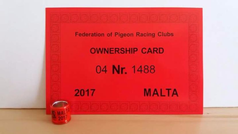  - Inele Malta - 26 piese