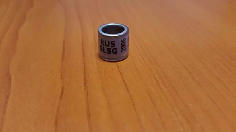  - Inele Rusia - 3 piese