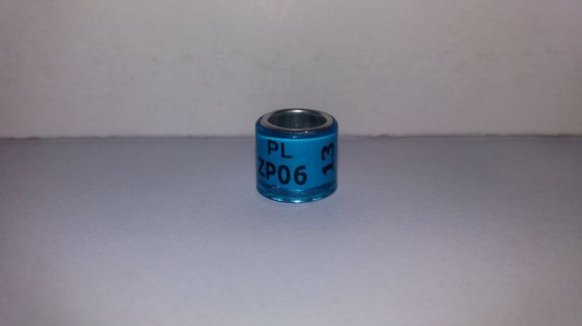  - Inele Polonia - 51 piese