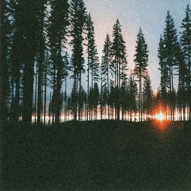 îmi place să merg în locuri retrase, liniștitoare și unde te poți recreea. - none of this feels real