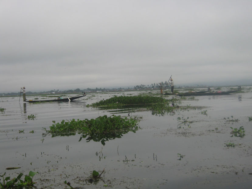  - Myanmar