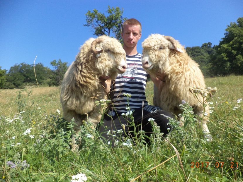  - Turcana-Alba 2017-2018