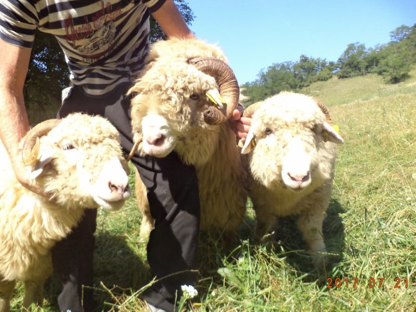  - Turcana-Alba 2017-2018