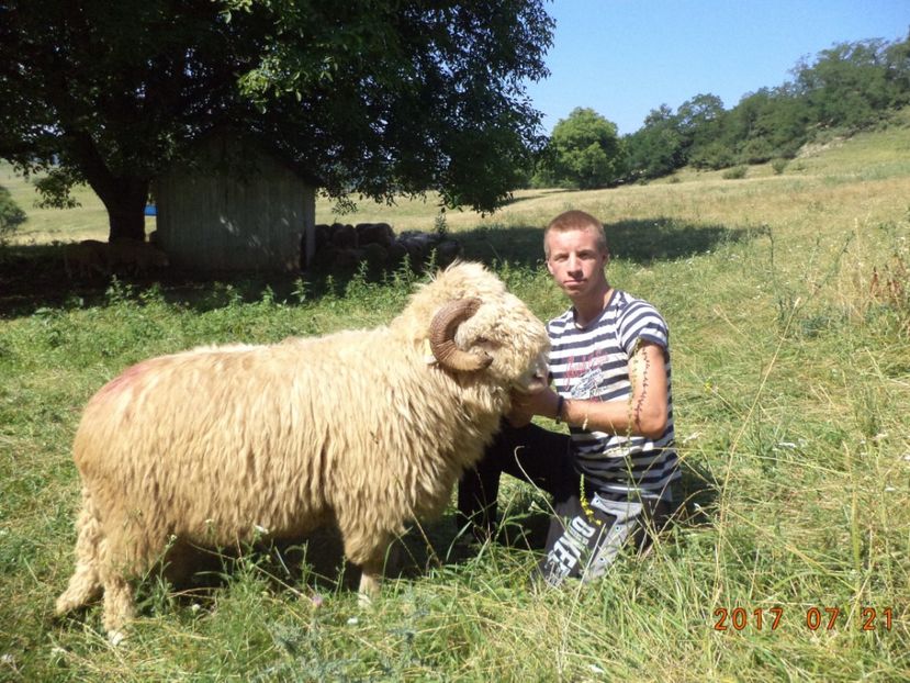  - Turcana-Alba 2017-2018