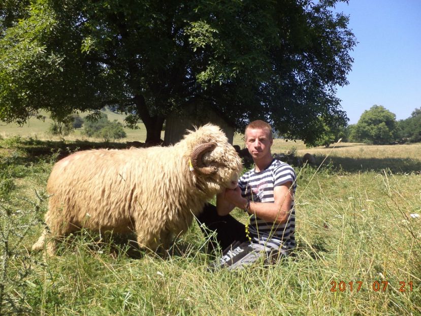  - Turcana-Alba 2017-2018