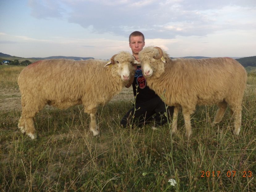  - Turcana-Alba 2017-2018