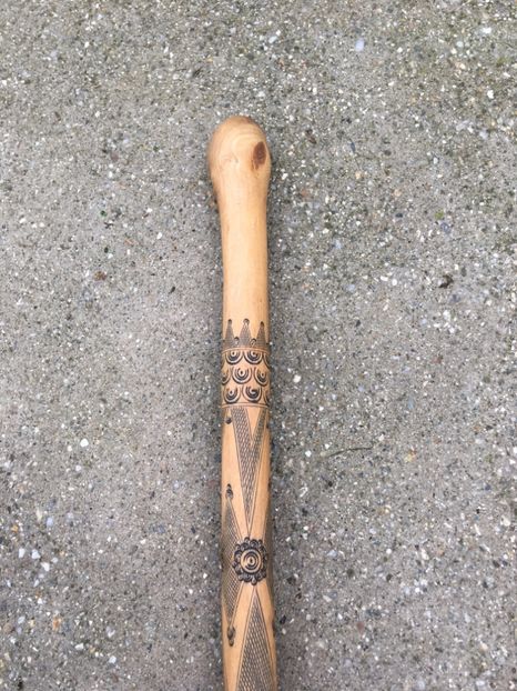  - Ocupațiuni - Hobby-uri