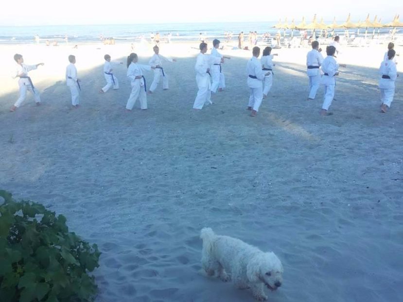  - 2017 VACANTA LA MARE 24IUL-11AUG