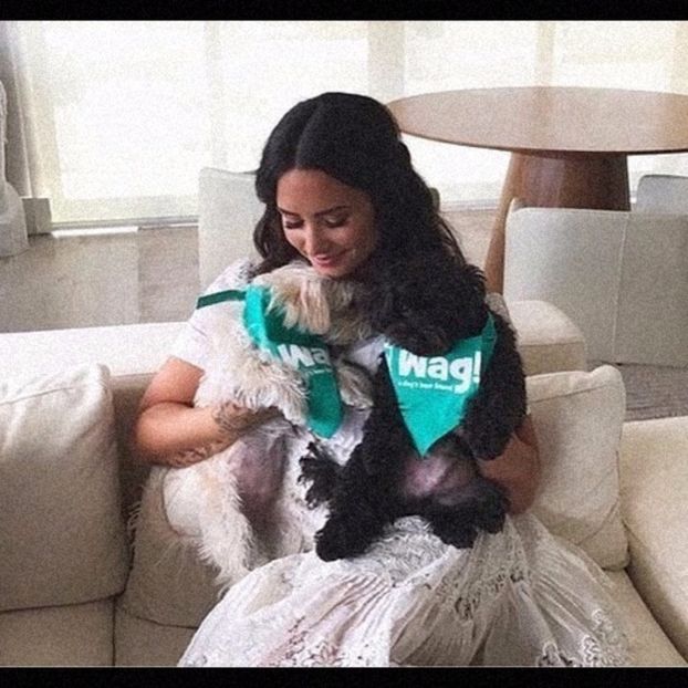 ♡ This picture was posted on 3August. - trying to be a rainbow challenge2