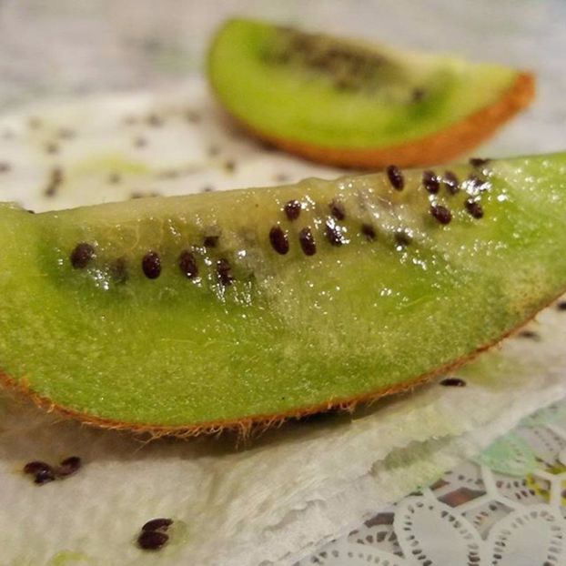 Am adunat seminte - Kiwi din Seminte 2016-2017