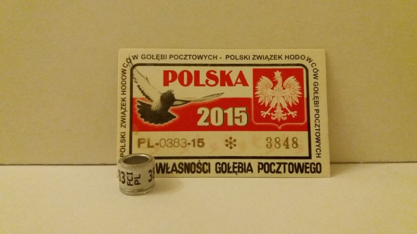  - Inele Polonia - 51 piese