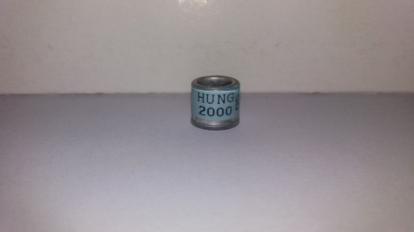  - Inele Ungaria - 19 piese