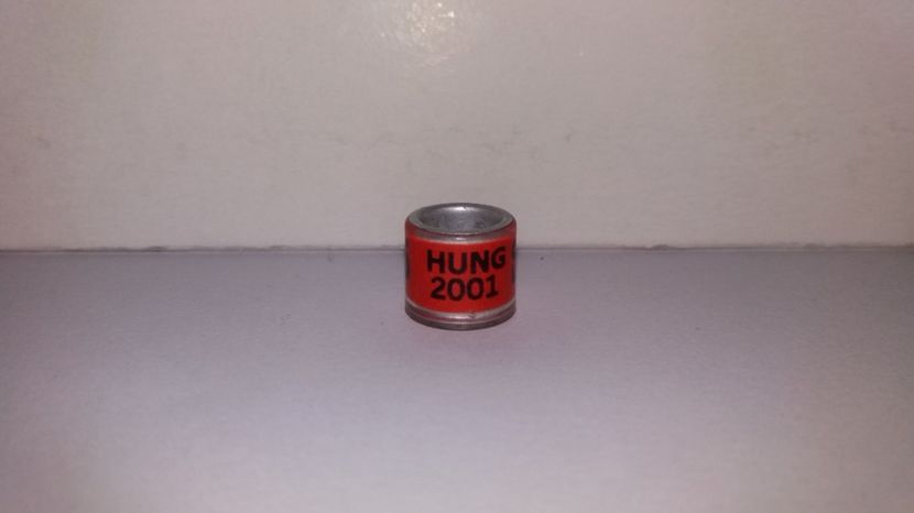  - Inele Ungaria - 19 piese