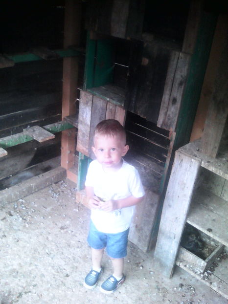 pasul 2  unde*s pui aia??? - 3-Rob