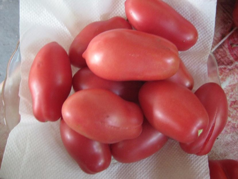  - A-A Gradina de legume -fructe-plante aromatice si medicinale 2017