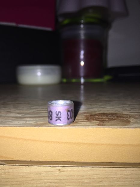 Cehoslovacia - Colectia 1 inele porumbei
