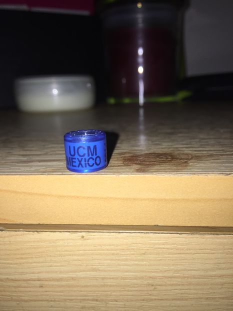 Mexic-UCM - Colectia 1 inele porumbei
