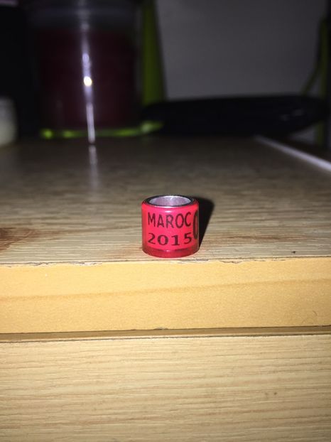 Maroc(2015) - Colectia 1 inele porumbei