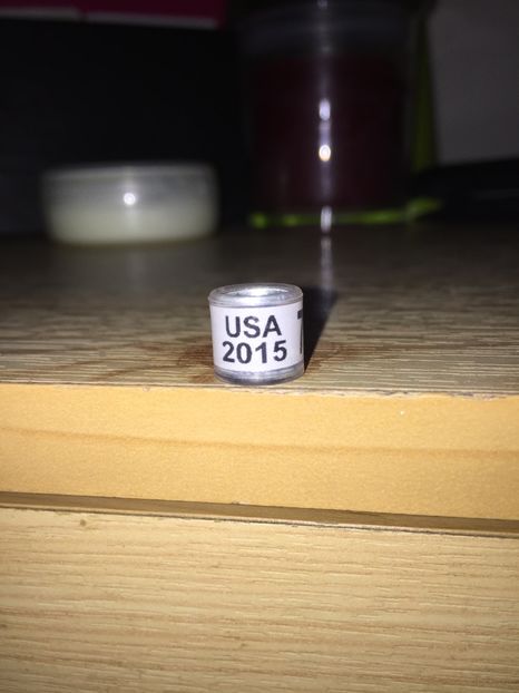 America(2015) - Colectia 1 inele porumbei
