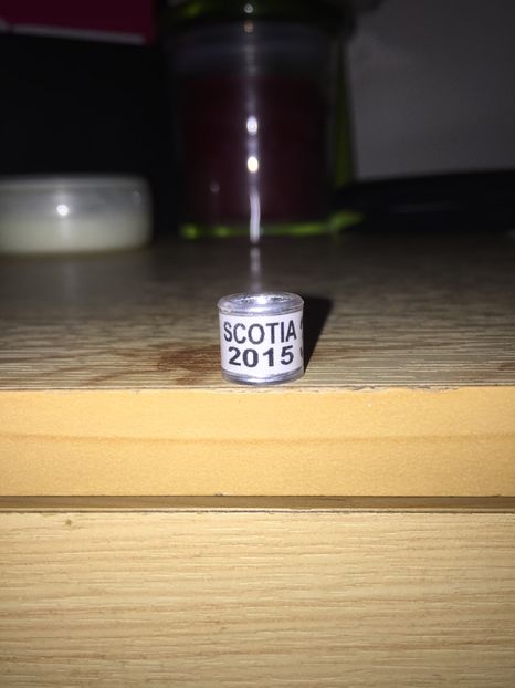 Scoția(2015) - Colectia 1 inele porumbei