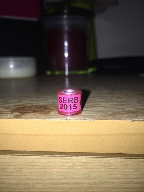 Serbia (2015)- AMATOR - Colectia 1 inele porumbei