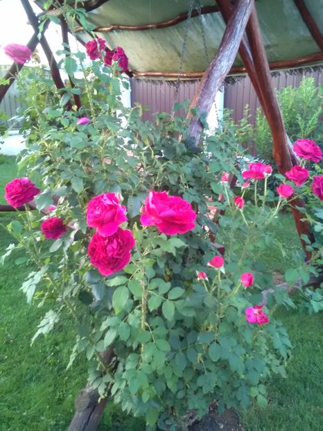  - William Shakespeare