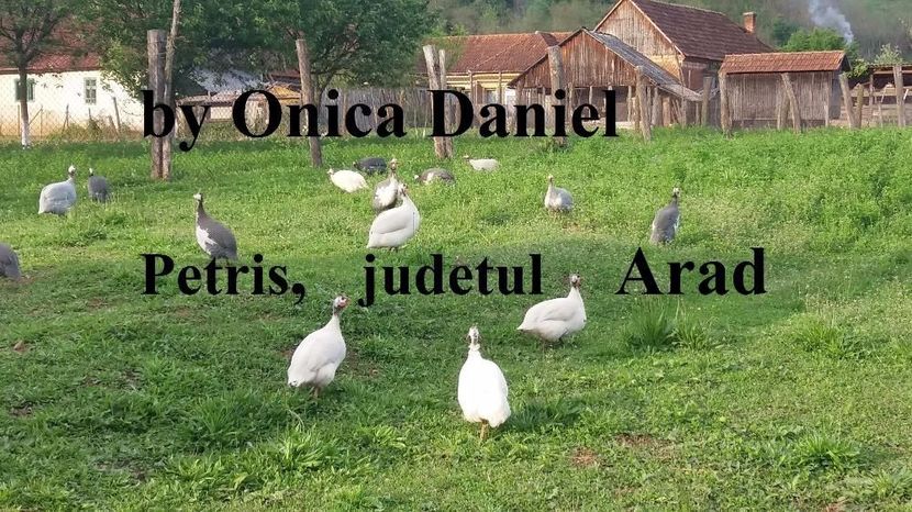 Poza de grup in grădina - Bibilici colorate