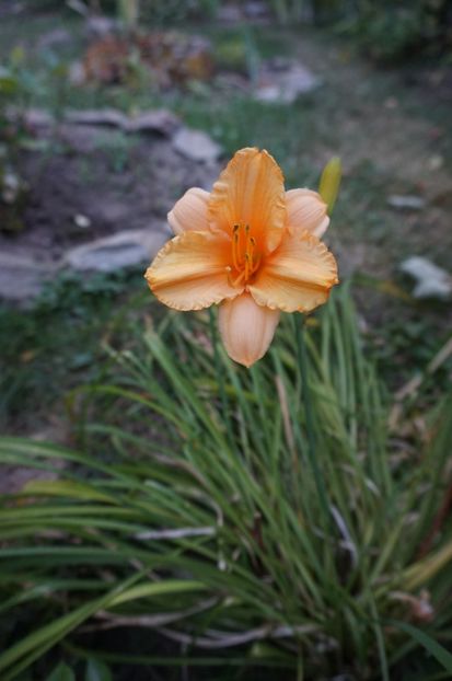  - Noi rezistam caniculei