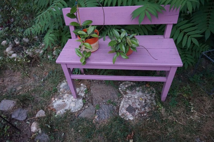  - Noi rezistam caniculei