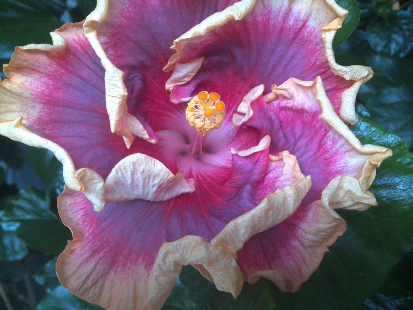 WIN_20170805_123545 - Night Runner