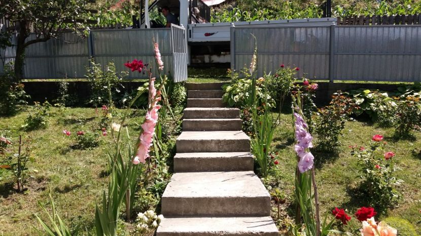  - 000000000000001   GRADINA MEA