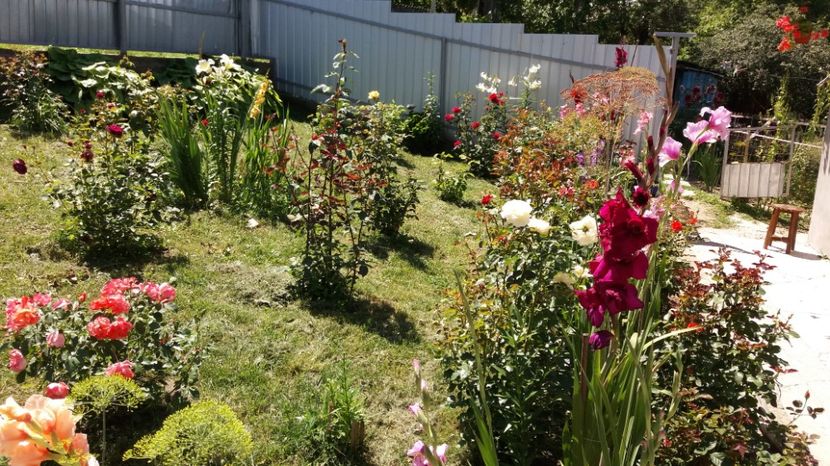  - 000000000000001   GRADINA MEA