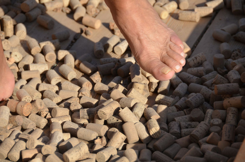 Barfuß 093 - O excursie deosebita a lui Paul