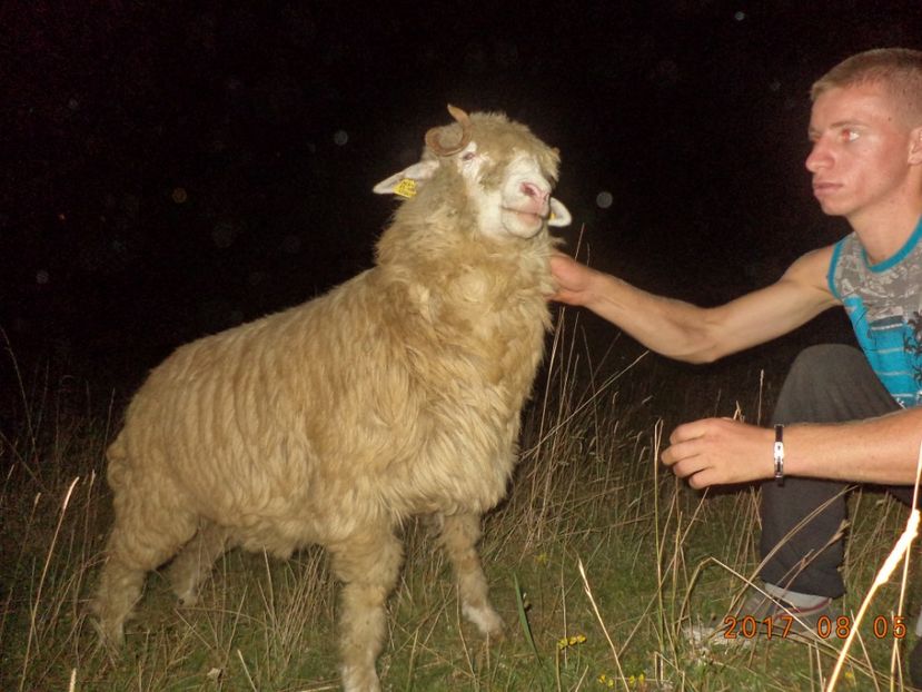  - Turcana-Alba 2017-2018