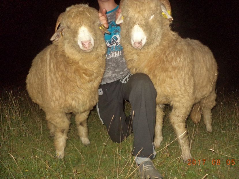  - Turcana-Alba 2017-2018