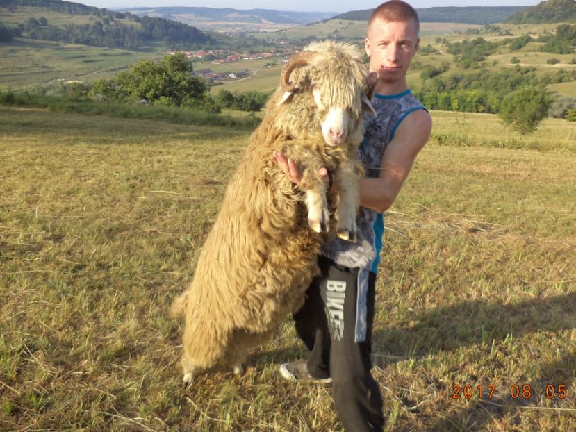  - Turcana-Alba 2017-2018