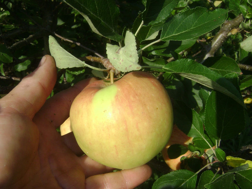 Mar de vara - Mar de vara