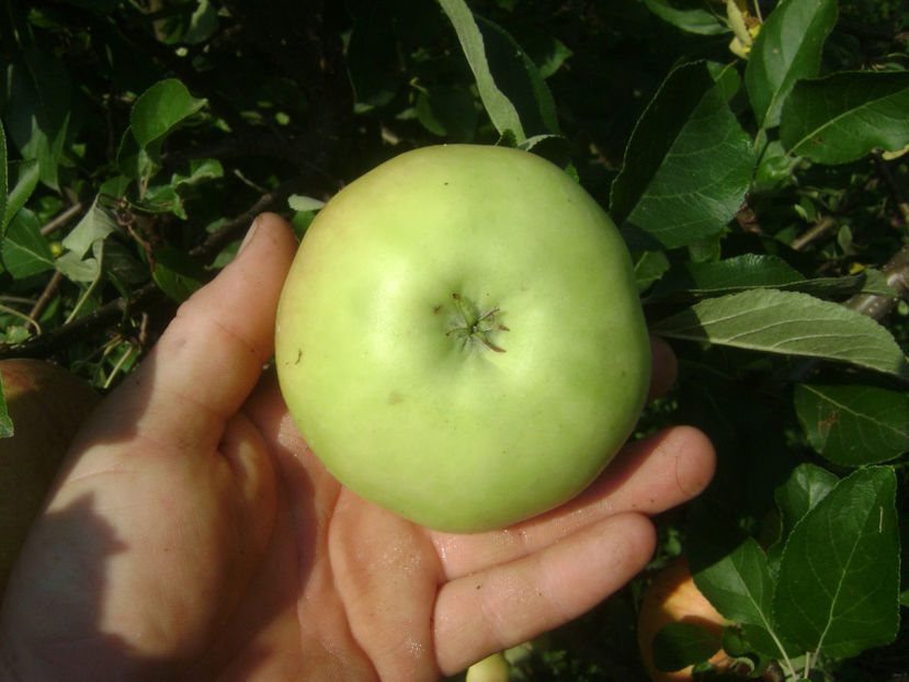 Mar de vara 5 - Mar de vara