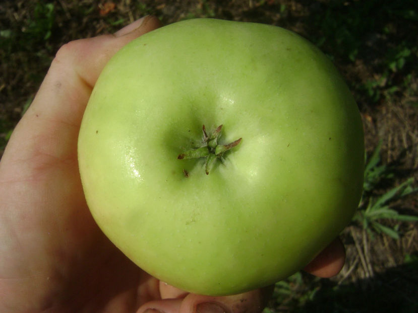 Mar de vara 6 - Mar de vara